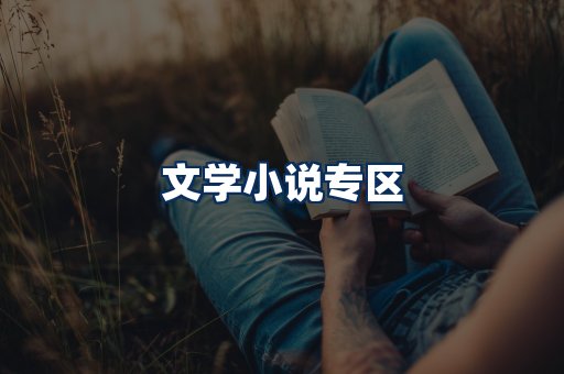 文学小说PDF展示